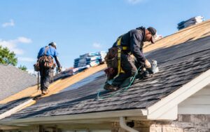 two roofers installing new asphalt shingles on a residential house roof using pneumatic nail guns.